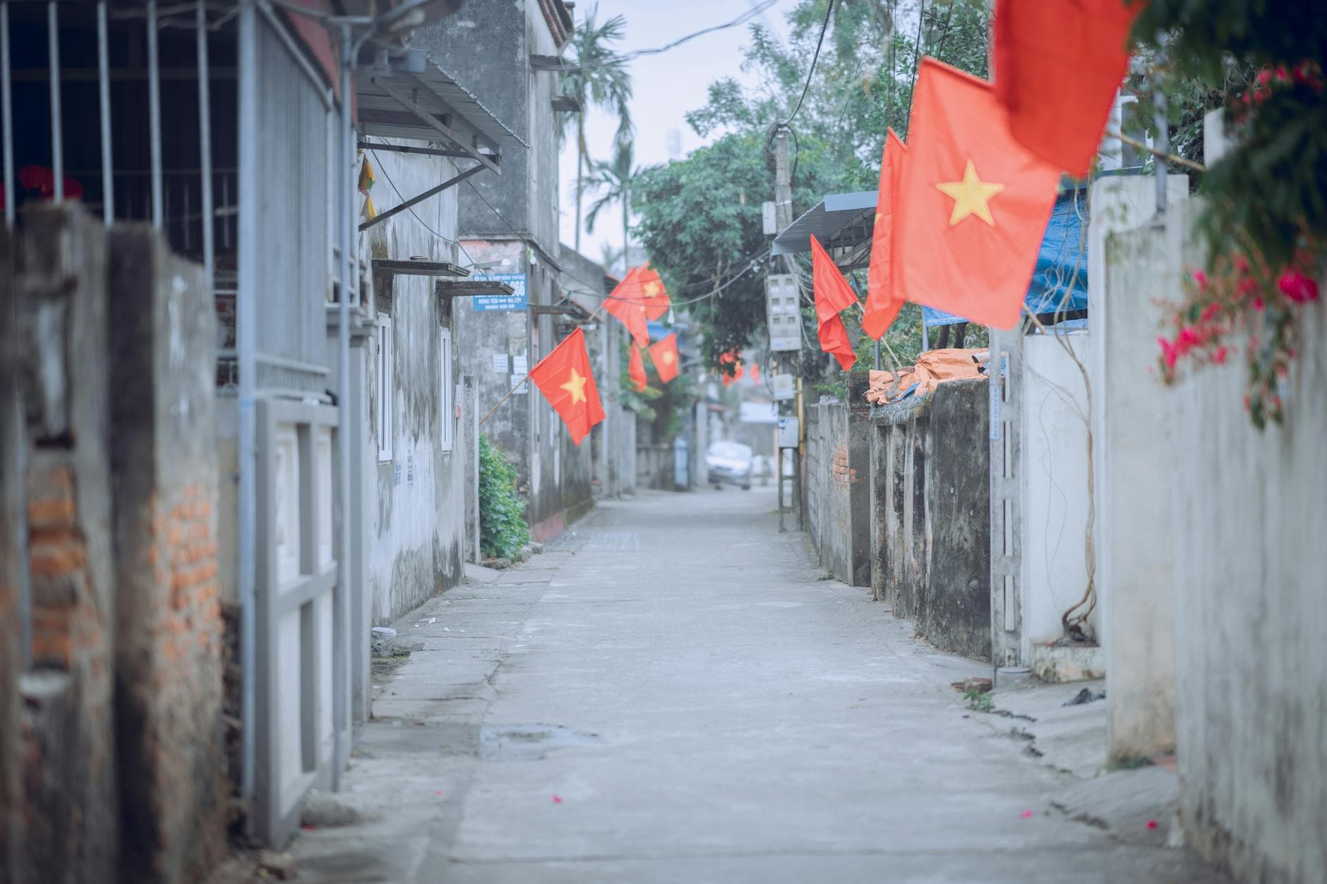 Đội tuyển Việt Nam chuẩn bị cho World Cup 2026 bảng D — phân tích đối thủ